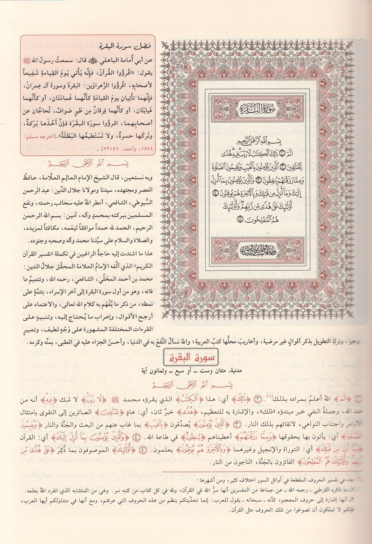 Titel: تفسير الجلالين
Auteur: الإمام جلال الدين المحلي رحمه الله، والإمام جلال الدين السيوطي رحمه الله
Uitgever: مؤسسة الرسالة ناشرون