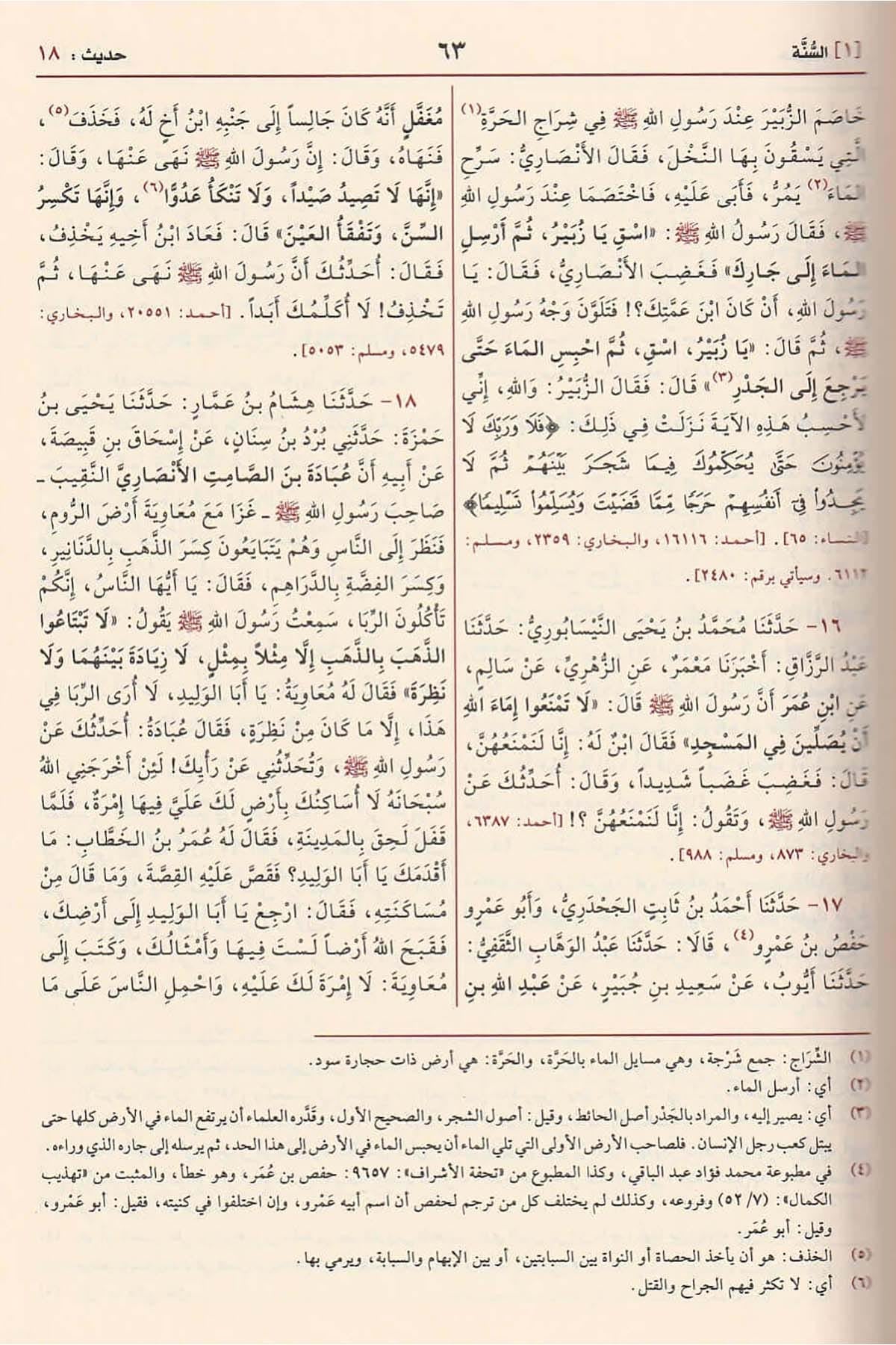 sunan-ibn-majah-arabic
سنن ابن ماجة للإمام ابن ماجة القزويني طبعة مؤسسة الرسالة
